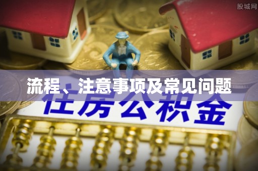 沧县流程、注意事项及常见问题