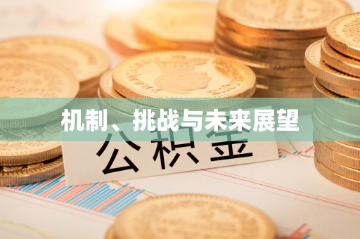 沧县机制、挑战与未来展望